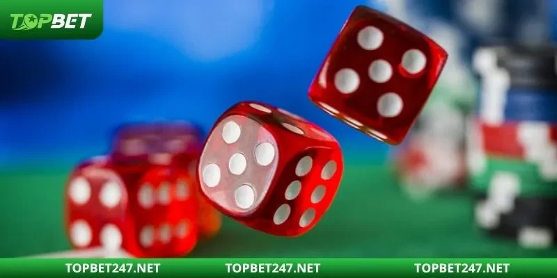 Chia sẻ chi tiết cách chơi tài xỉu hiệu quả cho newbie