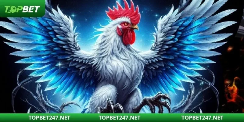 Gà trực tuyến - Sôi động và cuốn hút người chơi