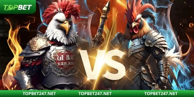 Kinh nghiệm chơi thông minh từ cao thủ