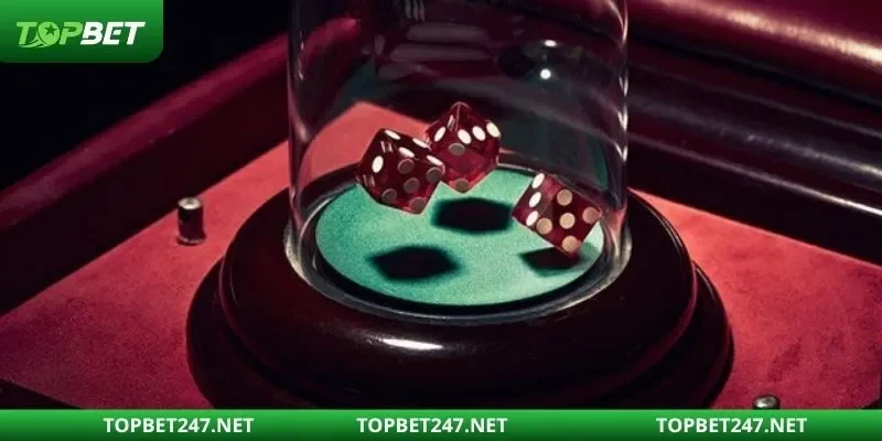 Nhà cái TOPBET đảm bảo giao dịch siêu nhanh