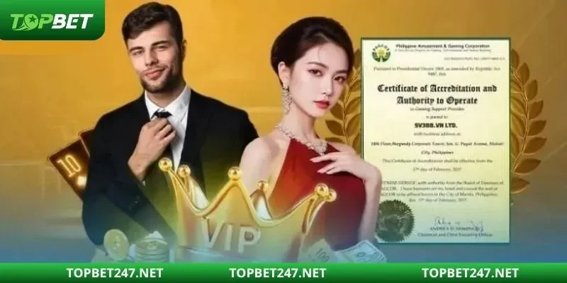 Tổng hợp giấy chứng nhận hoạt động của TOPBET